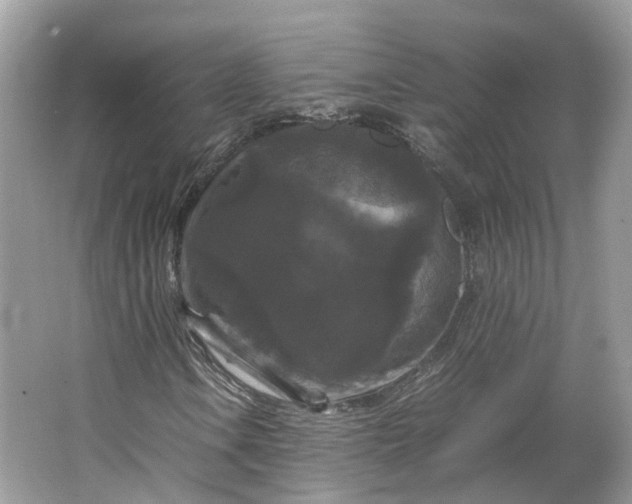 X0000066111106200603241537
