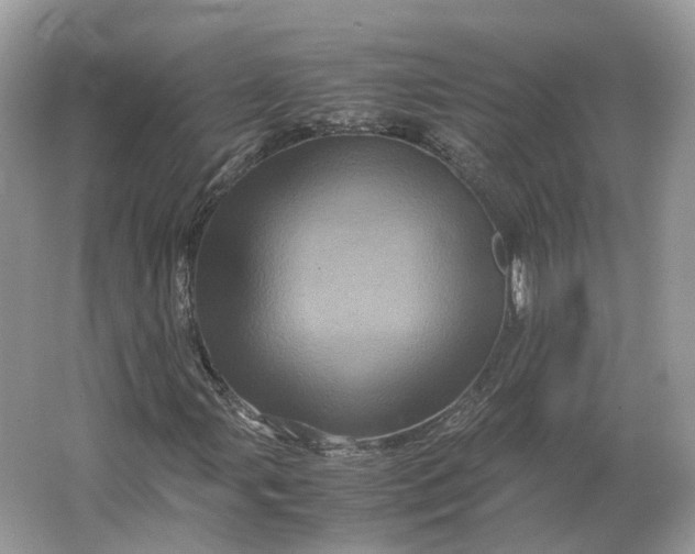 X0000066111107200603241537