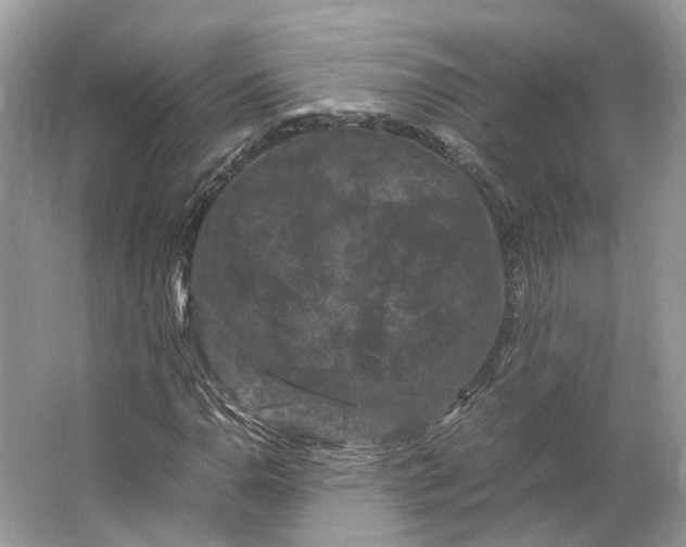 X0000066111110200603241537
