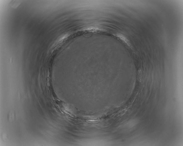 X0000066111111200603241537