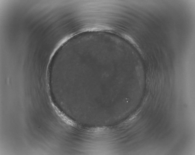 X0000066111122200603241537