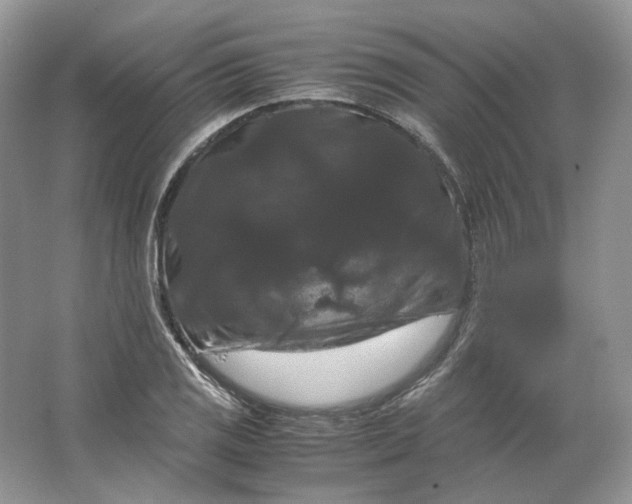 X0000066111125200603241537