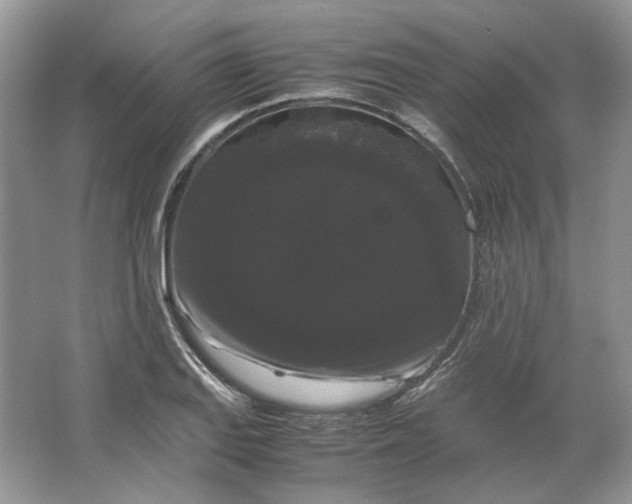 X0000066111127200603241537