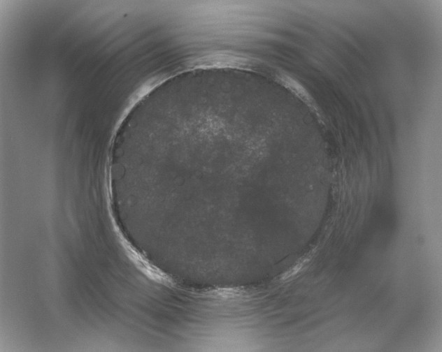 X0000066111130200603241537