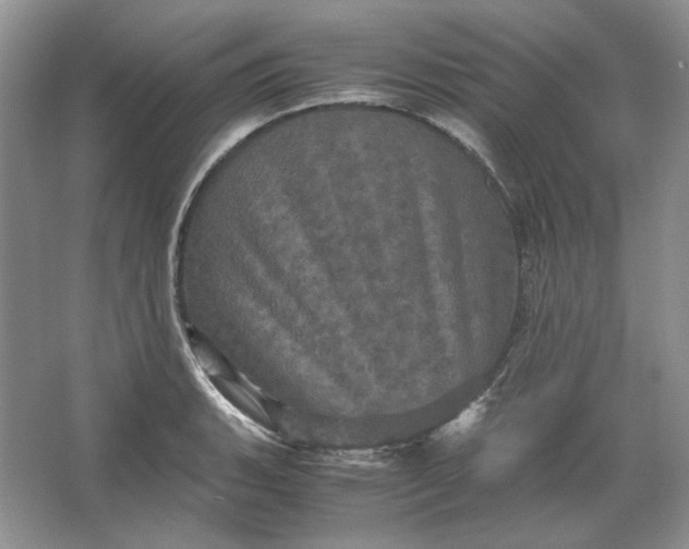 X0000066111135200603241537