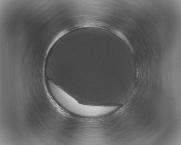 X0000066111138200603241537