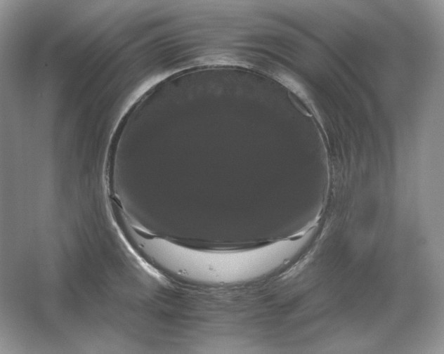 X0000066111141200603241537