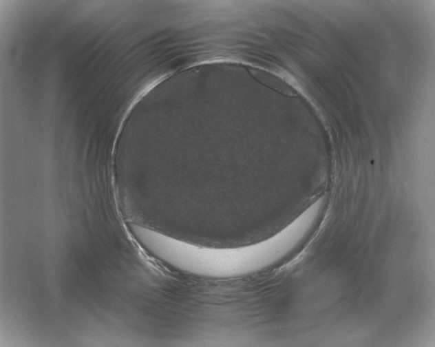 X0000066111145200603241537
