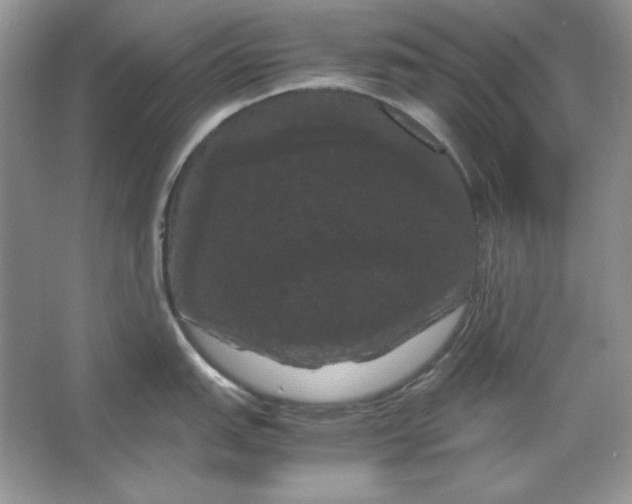 X0000066111151200603241537