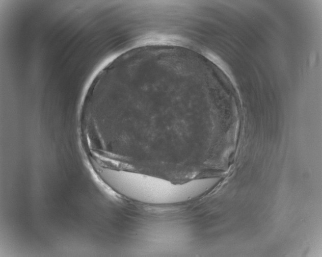 X0000066111152200603241537