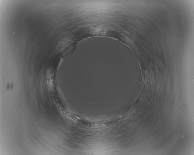 X0000066111154200603241537