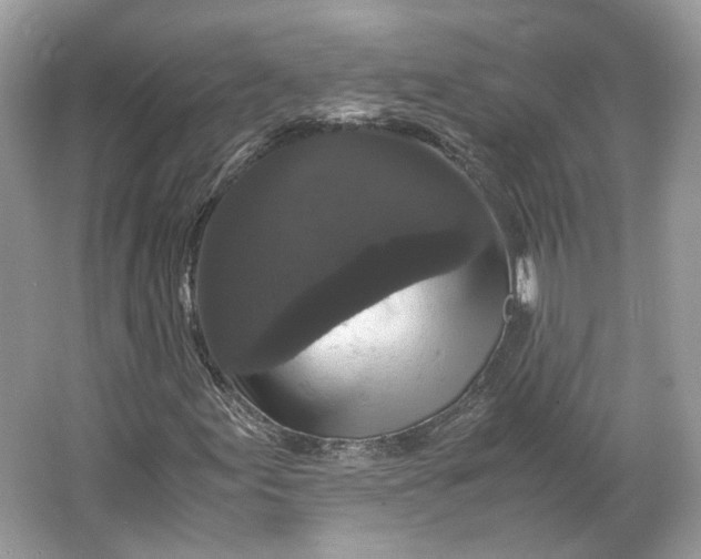 X0000066111155200603241537