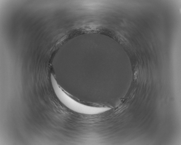 X0000066111156200603241537