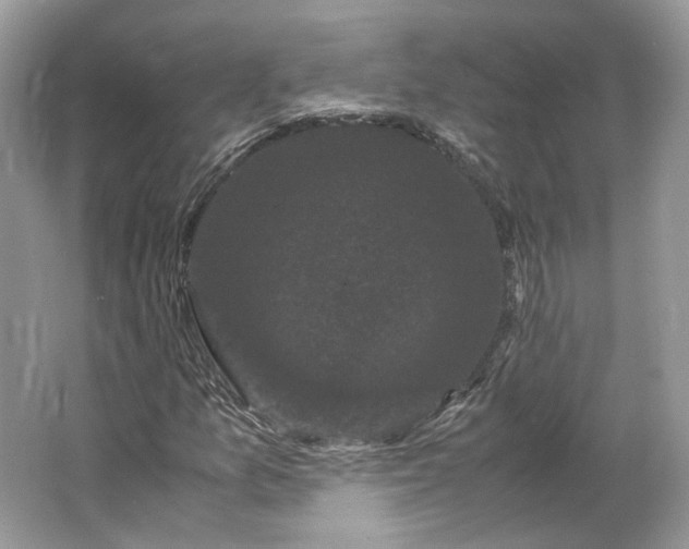 X0000066111157200603241537