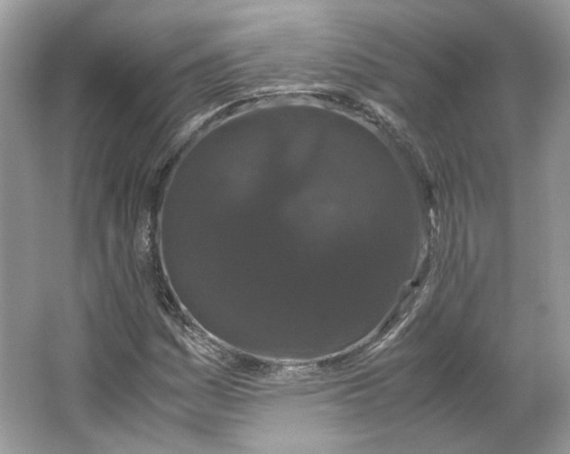 X0000066111161200603241536