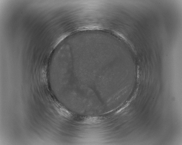 X0000066111162200603241536