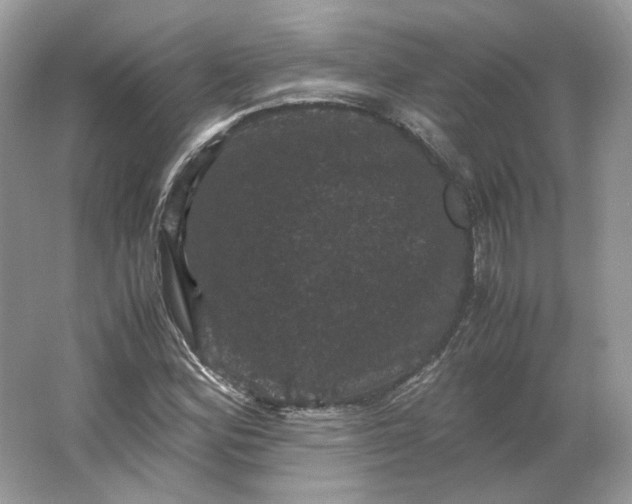 X0000066111164200603241536