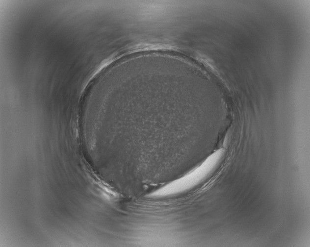 X0000066111165200603241536