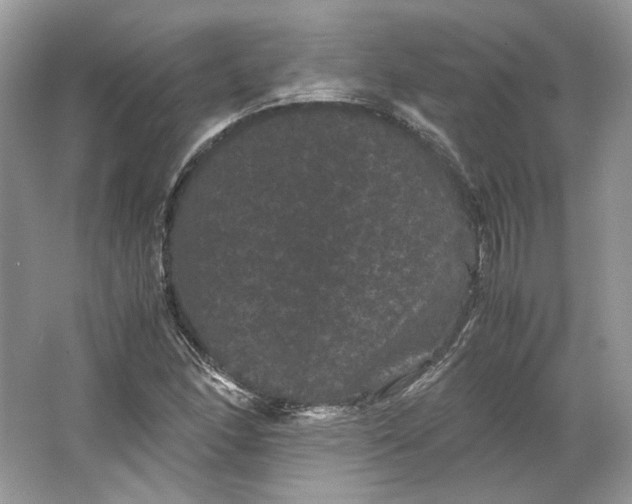X0000066111166200603241536