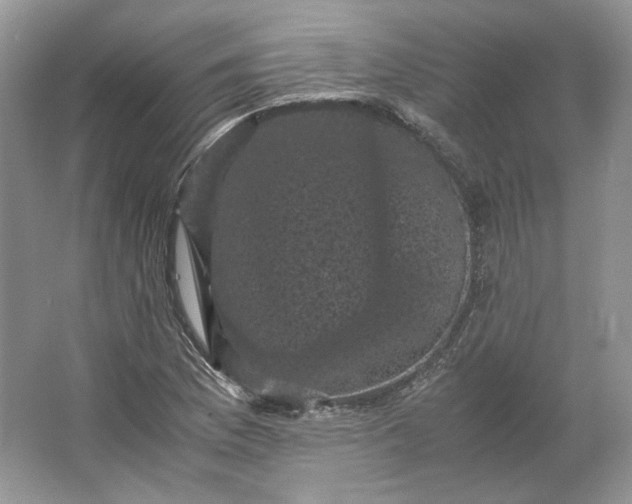 X0000066111169200603241536
