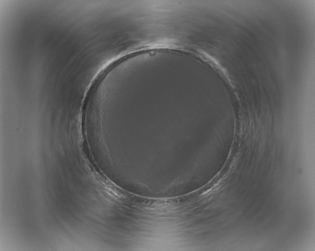 X0000066111174200603241536