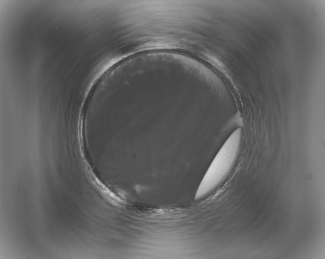 X0000066111179200603241536