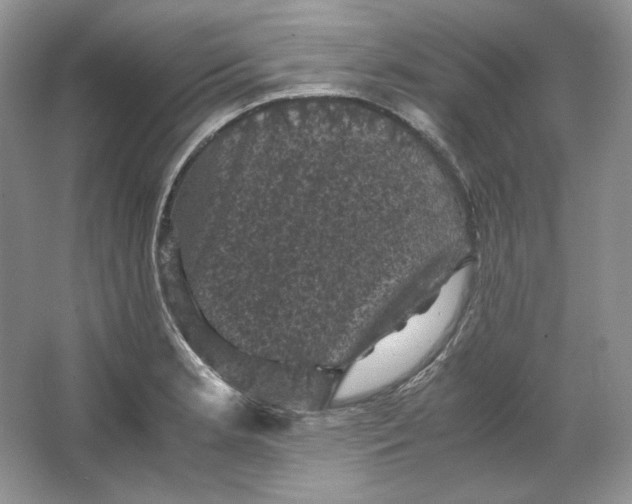 X0000066111181200603241536