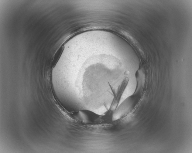 X0000066111185200603241536