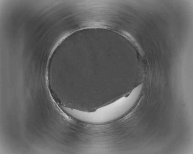 X0000066111188200603241536
