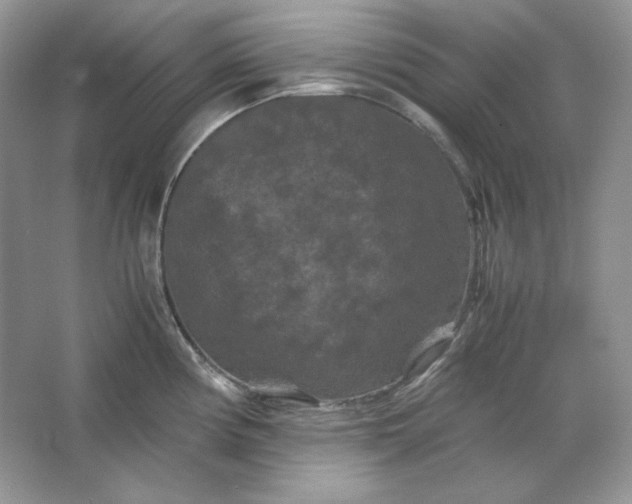 X0000066111194200603241536