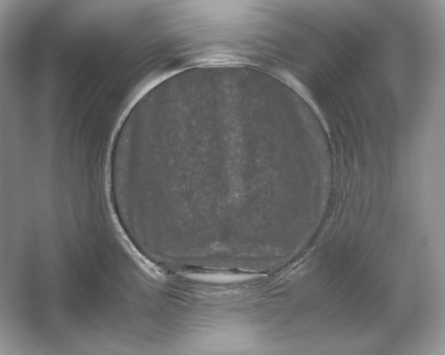 X0000066111195200603241536