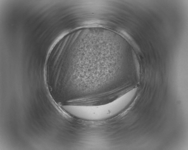 X0000066111196200603241536