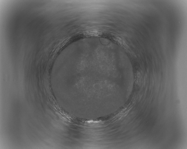 X0000066111201200603241535