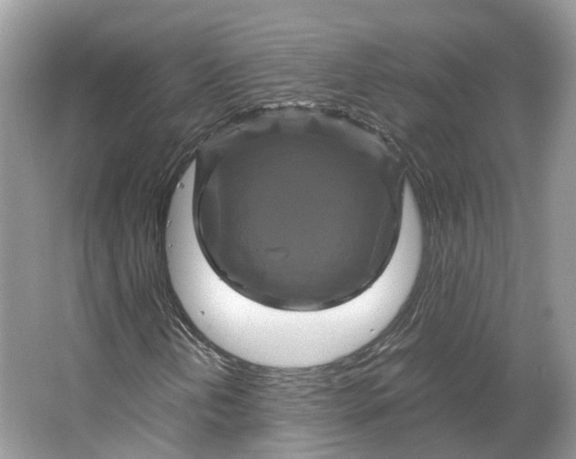 X0000066111202200603241535