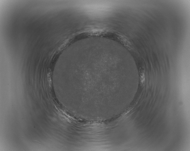 X0000066111204200603241535