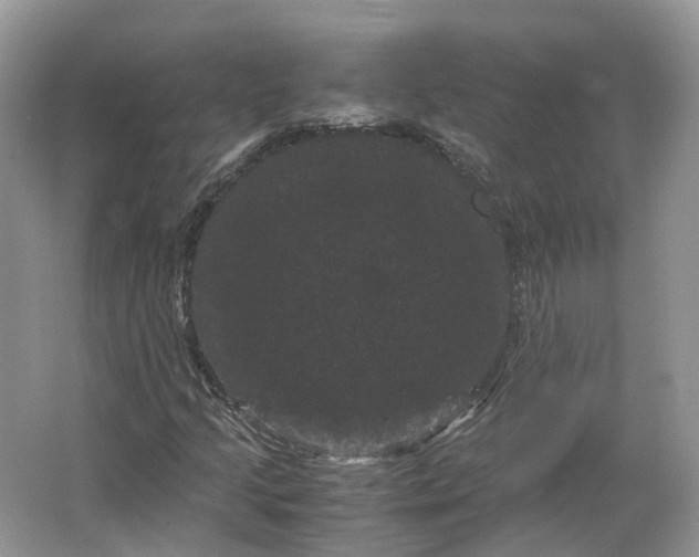 X0000066111205200603241535
