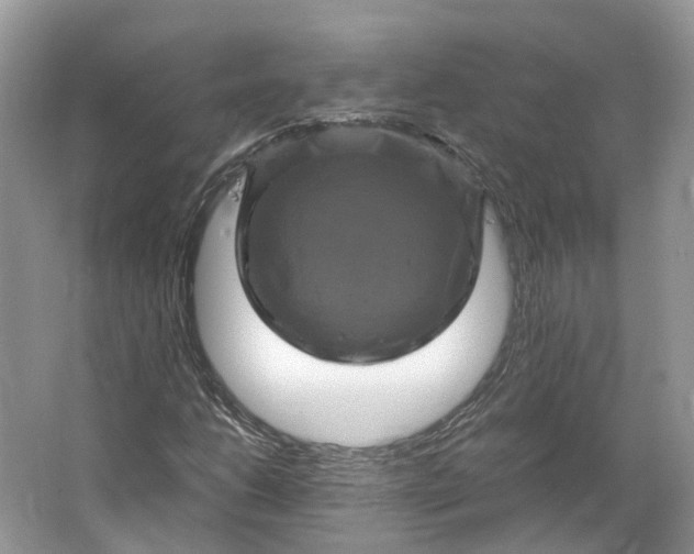 X0000066111206200603241535