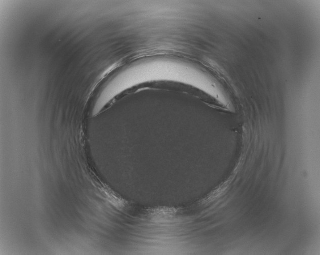 X0000066111210200603241535