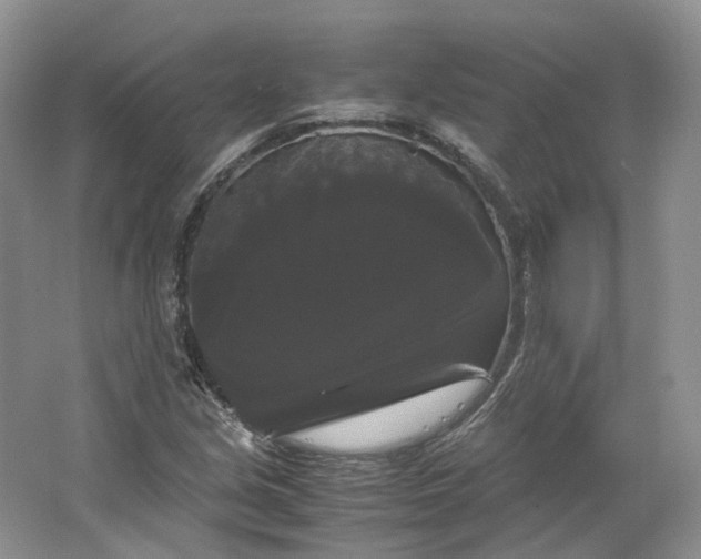 X0000066111213200603241535