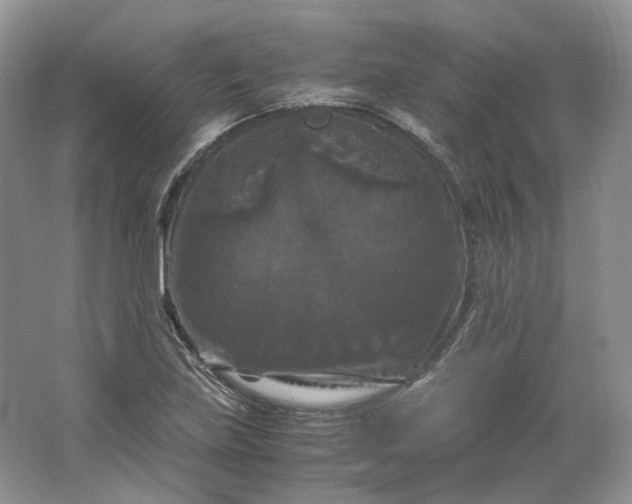 X0000066111219200603241535