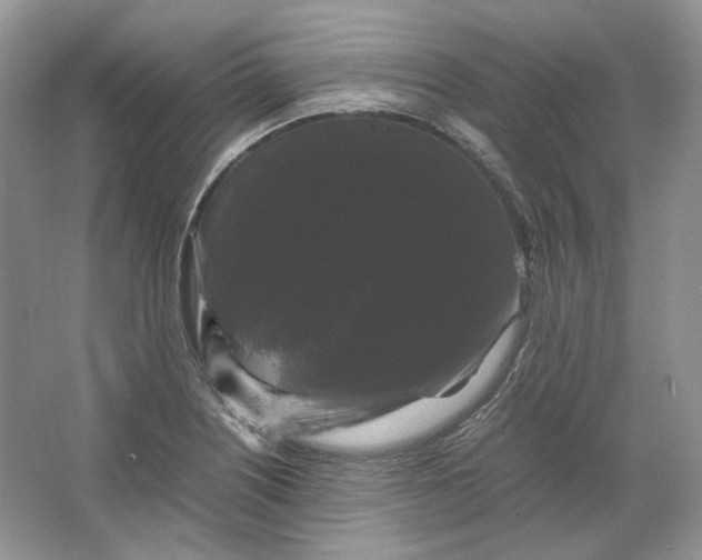 X0000066111226200603241535