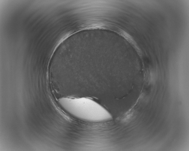 X0000066111234200603241536