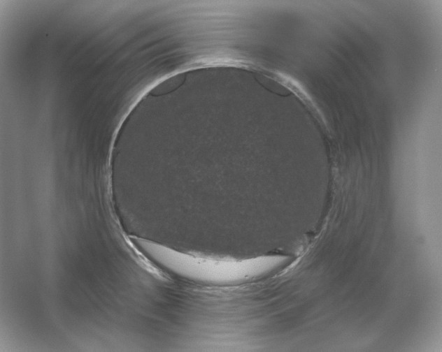 X0000066111236200603241536