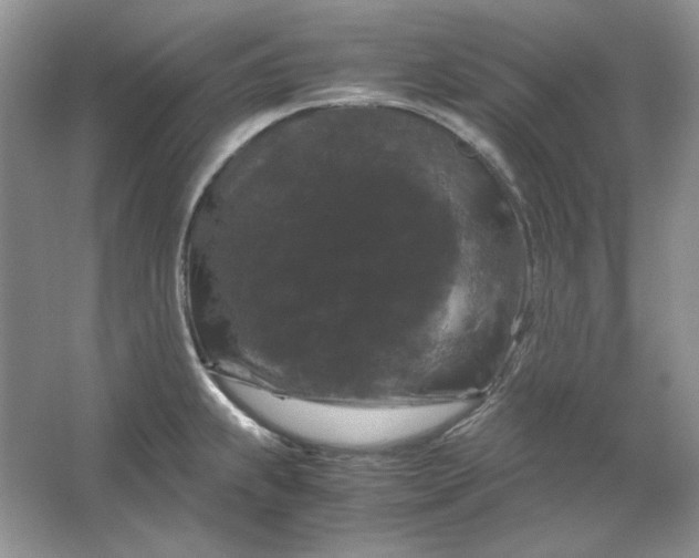 X0000066111239200603241536