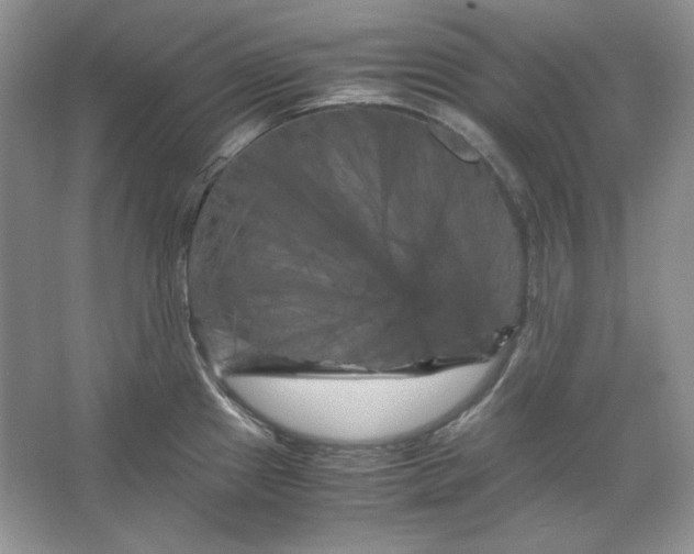 X0000066111241200603241536