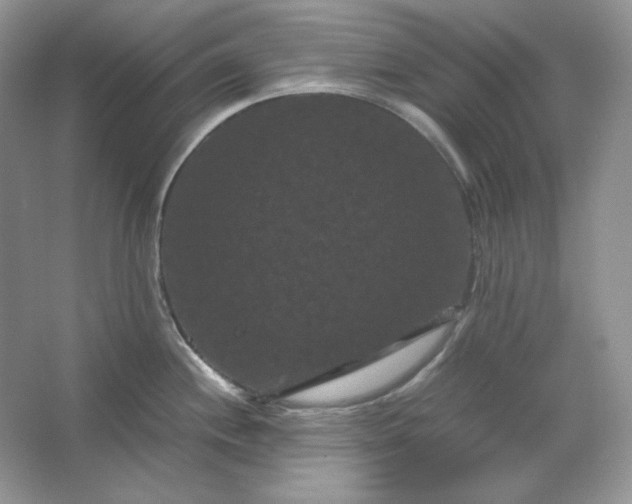 X0000066111244200603241536
