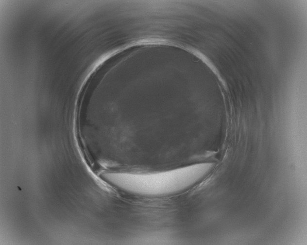 X0000066111245200603241536