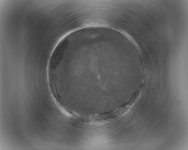X0000066111246200603241536