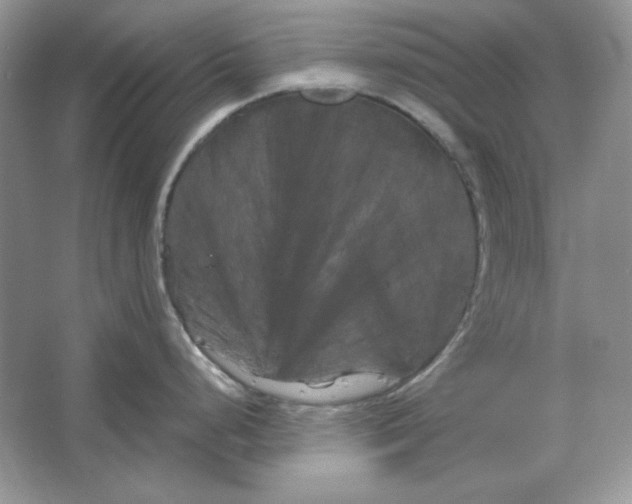 X0000066111248200603241536