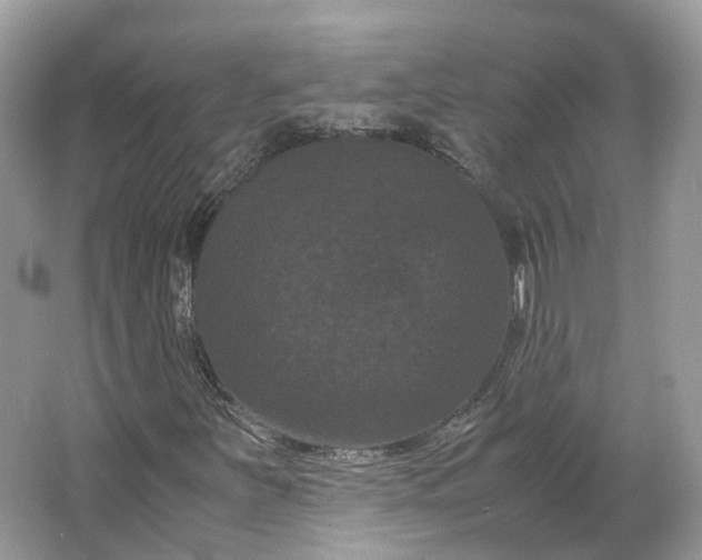 X0000066111251200603241535